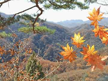 谷歌實(shí)時(shí)翻譯擴(kuò)展程序，科技重塑語言世界，歷史上的 12 月 13 日升級里程碑事件