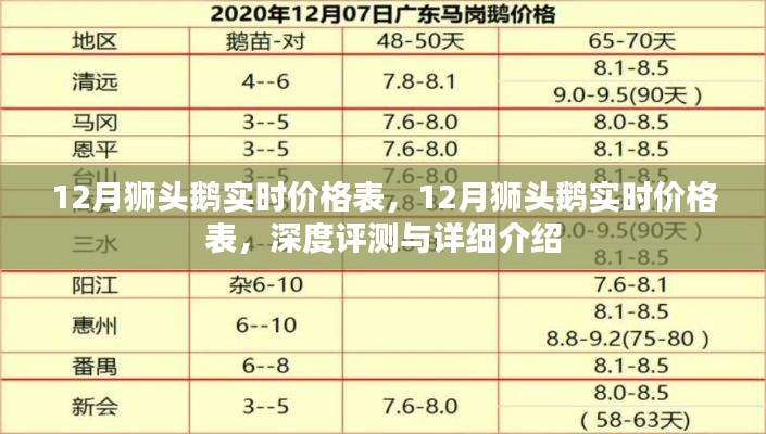 最新12月獅頭鵝實(shí)時(shí)價(jià)格表及深度評(píng)測與詳細(xì)介紹