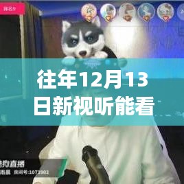 探秘小巷深處的視聽盛宴，揭秘往年12月13日新視聽直播實況與期待能否如約而至？