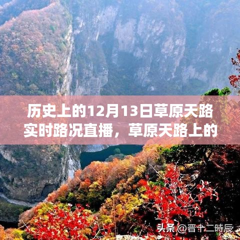 歷史上的草原天路，暖心直播見證友誼與陪伴的溫馨故事