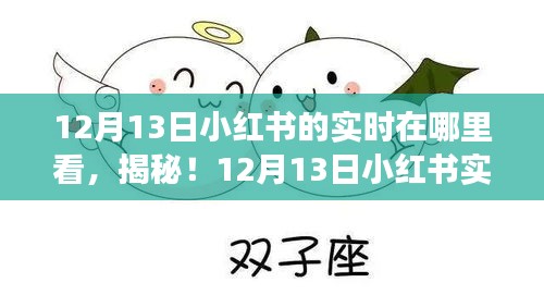 揭秘新功能，如何查看12月13日小紅書實時動態(tài)，科技魅力重塑生活體驗！