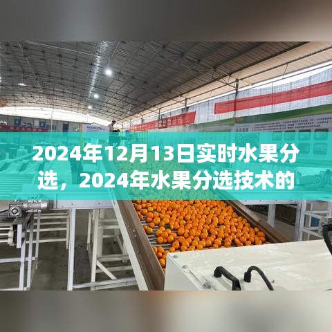 2024年12月18日 第19頁