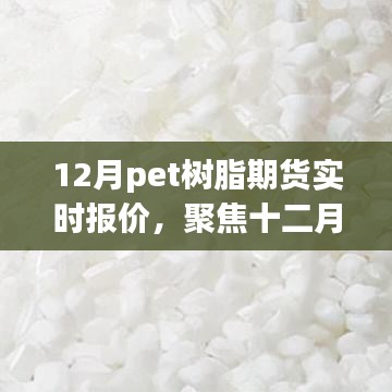 十二月Pet樹脂期貨市場波動與實時報價深度解析