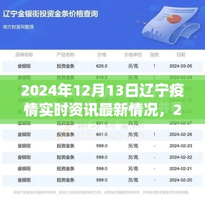 2024年12月13日遼寧疫情最新實時資訊，防控進(jìn)展與應(yīng)對策略聚焦