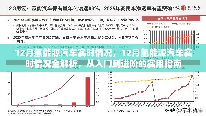 實用指南，12月氫能源汽車實時情況全解析——從新手到專家的進階之路