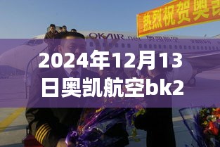 奧凱航空BK2821航班實(shí)時(shí)動(dòng)態(tài)查詢(xún)指南，初學(xué)者快速掌握指南（日期，2024年12月13日）