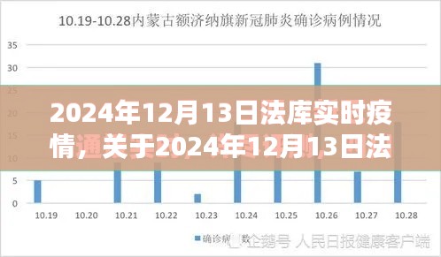 關(guān)于法庫(kù)縣實(shí)時(shí)疫情動(dòng)態(tài)，全面評(píng)測(cè)與介紹（日期，2024年12月13日）