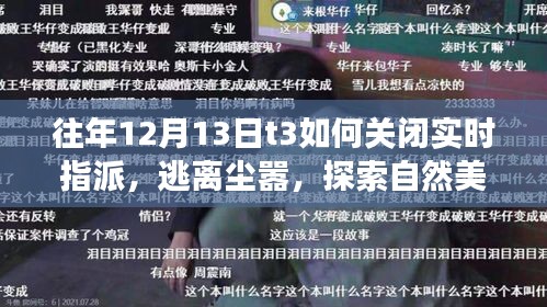 往年12月13日T3關閉實時指派，心靈之旅，逃離塵囂探索自然美景之道