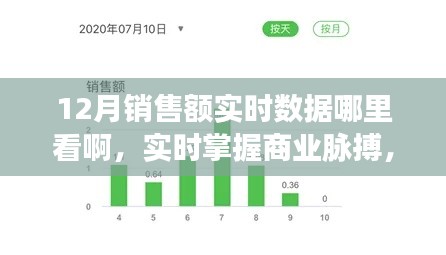 實(shí)時(shí)掌握商業(yè)脈搏，12月銷售額數(shù)據(jù)平臺(tái)深度評(píng)測(cè)與實(shí)時(shí)數(shù)據(jù)查看指南