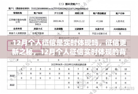 揭秘，12月個人征信實時更新背后的影響與洞察