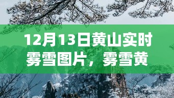 霧雪黃山，仙境再現(xiàn)，實(shí)時(shí)美景圖片分享