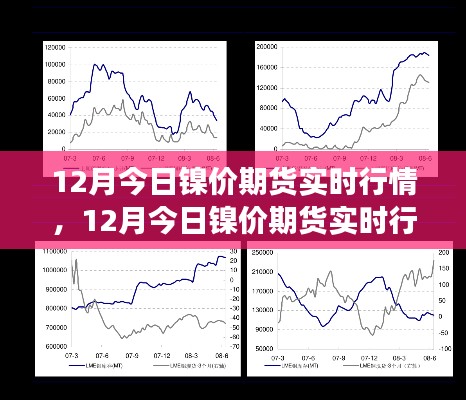 最新鎳價期貨行情分析與預(yù)測，市場走勢及實時報價