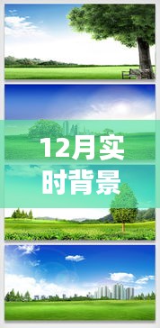 探索自然秘境，12月實(shí)時(shí)背景摳圖素材帶你踏上寧?kù)o之旅