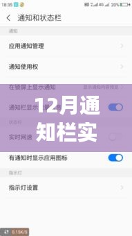 解決12月通知欄實(shí)時(shí)網(wǎng)速顯示無變化問題，實(shí)用指南及初學(xué)者進(jìn)階用戶必看攻略