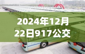 2024年12月22日917公交車實時消息及查詢詳細(xì)步驟指南