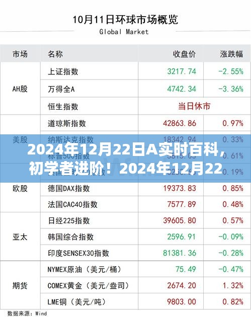 初學(xué)者進(jìn)階！2024年12月22日A實(shí)時(shí)百科使用指南全解析