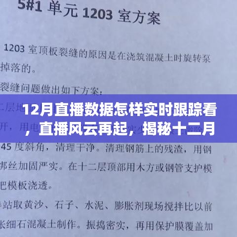 揭秘十二月直播風(fēng)云，實時跟蹤數(shù)據(jù)之旅