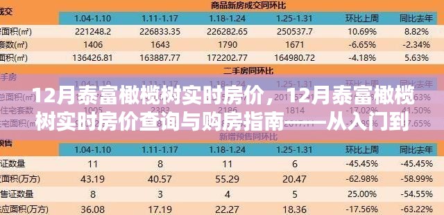 12月泰富橄欖樹實時房價詳解，購房指南與查詢攻略