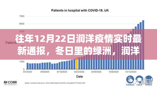 潤洋疫情下的自然探索之旅，最新實時通報與冬日綠洲觀察