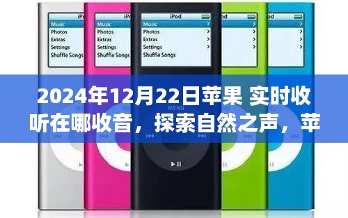 蘋果實時收音機，探索自然之聲的奇妙之旅（2024年12月22日）