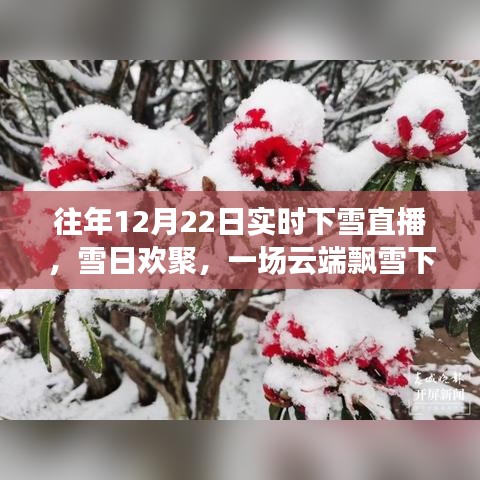 云端飄雪下的歡聚時光，12月22日實時下雪直播日常