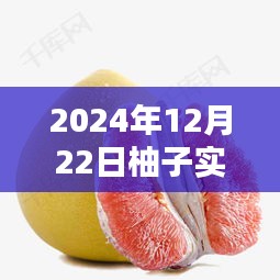 2024年柚子產(chǎn)品深入評(píng)測(cè)與實(shí)時(shí)介紹圖片體驗(yàn)報(bào)告