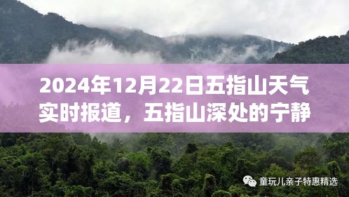 2024年冬至五指山探險(xiǎn)之旅，深山寧?kù)o與天氣實(shí)時(shí)報(bào)道的心靈之旅