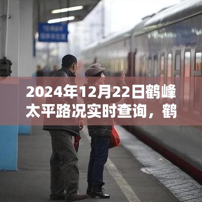 鶴峰太平路況實(shí)時(shí)查詢指南，2024年12月22日出行必備路況信息