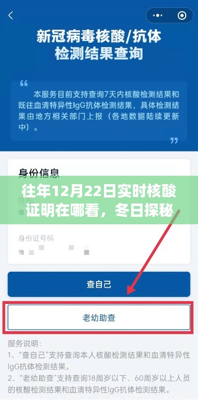 冬日探秘，尋找往年12月22日核酸證明的小故事與實(shí)時(shí)查詢攻略