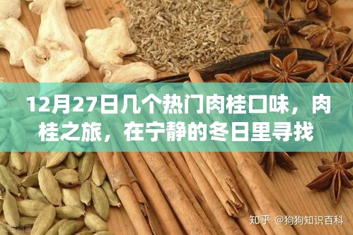 寧?kù)o冬日里的肉桂之旅，探索熱門口味的心靈香料之旅