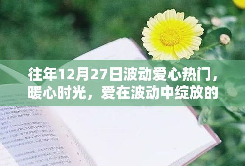 12月27日愛心熱潮涌動，暖心時光記錄溫馨日常中的愛之波動