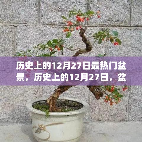 揭秘歷史上的盆景熱潮，探尋盆景背后的故事與種子力量，領(lǐng)略變化與自信的魅力