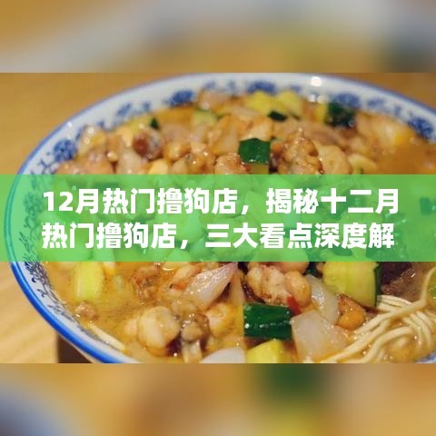 揭秘十二月熱門擼狗店深度解析三大看點