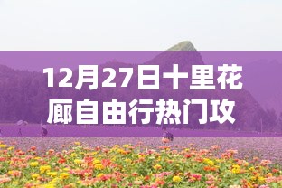 科技賦能生活，十里花廊智能自由行攻略（12月27日版）