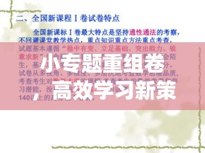 小專題重組卷，高效學(xué)習(xí)新策略助力提升學(xué)習(xí)效能