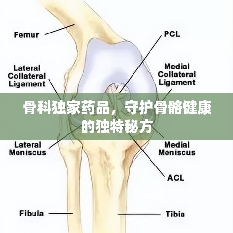 骨科獨(dú)家藥品，守護(hù)骨骼健康的獨(dú)特秘方