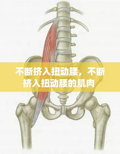 不斷擠入扭動腰，不斷擠入扭動腰的肌肉 