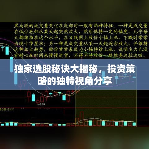 獨家選股秘訣大揭秘，投資策略的獨特視角分享