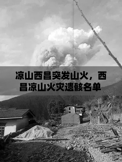 涼山西昌突發(fā)山火，西昌涼山火災(zāi)遺骸名單 