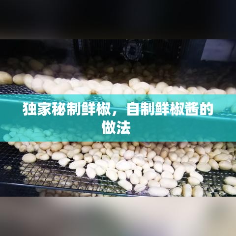 獨(dú)家秘制鮮椒，自制鮮椒醬的做法 