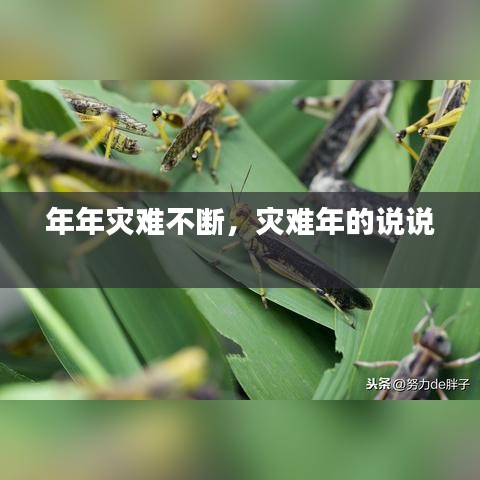 年年災(zāi)難不斷，災(zāi)難年的說說 