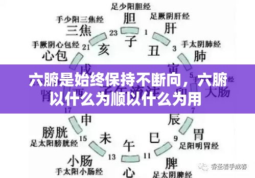 六腑是始終保持不斷向，六腑以什么為順以什么為用 