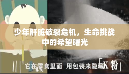 少年肝臟破裂危機(jī)，生命挑戰(zhàn)中的希望曙光