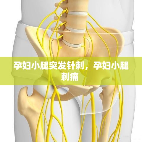 孕婦小腿突發(fā)針刺，孕婦小腿刺痛 