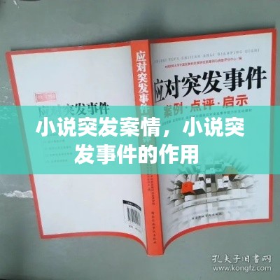 小說突發(fā)案情，小說突發(fā)事件的作用 