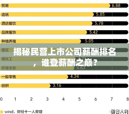 揭秘民營上市公司薪酬排名，誰登薪酬之巔？