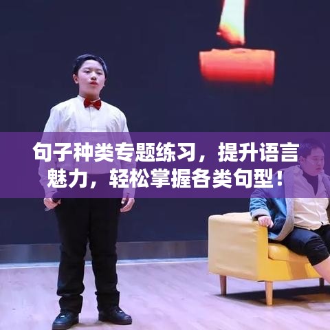 句子種類專題練習(xí)，提升語言魅力，輕松掌握各類句型！