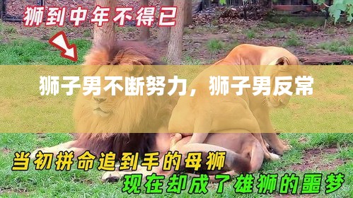 獅子男不斷努力，獅子男反常 