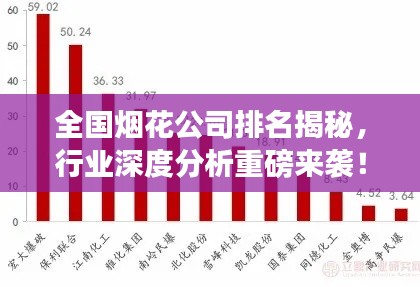 全國(guó)煙花公司排名揭秘，行業(yè)深度分析重磅來襲！