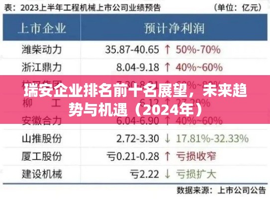 瑞安企業(yè)排名前十名展望，未來(lái)趨勢(shì)與機(jī)遇（2024年）